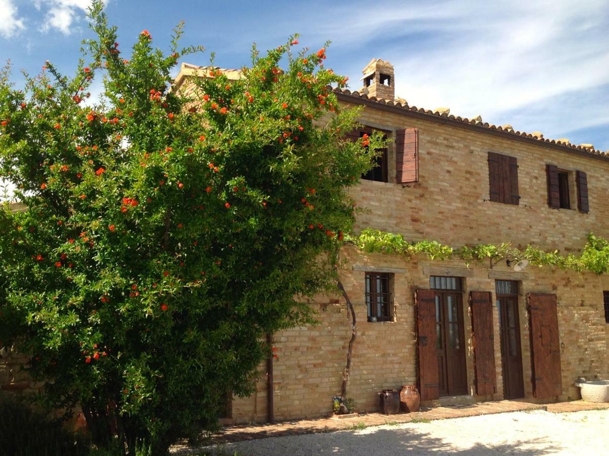 Bed and Breakfast L'Infinito Mombaroccio Exterior foto